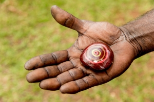 Hand holding stone with jawun logo