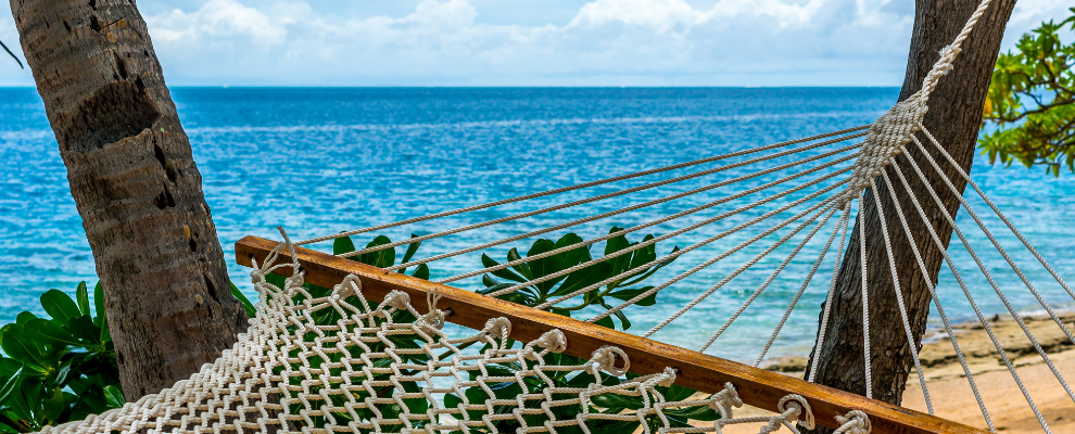 hammock by the ocean
